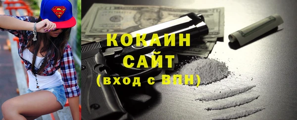 соль ск Дмитров