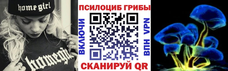Псилоцибиновые грибы мицелий  сколько стоит  гидра ссылка  Арзамас 