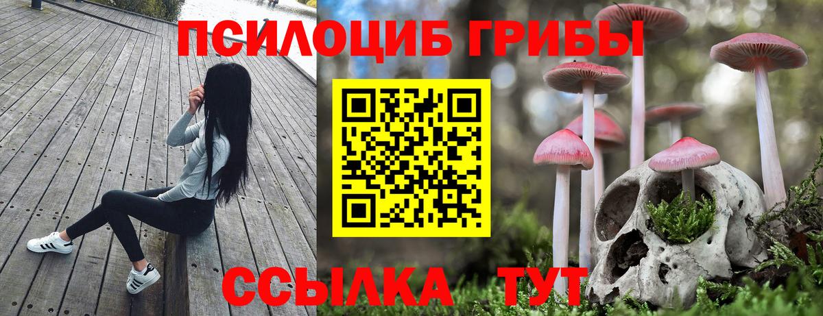 Псилоцибиновые грибы Psilocybine cubensis Арзамас